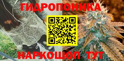 марки lsd Будённовск