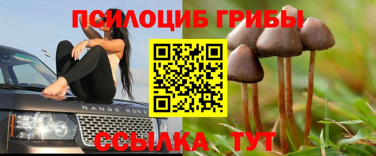 Псилоцибиновые грибы MAGIC MUSHROOMS  Вход с VPN  Нефтекамск 
